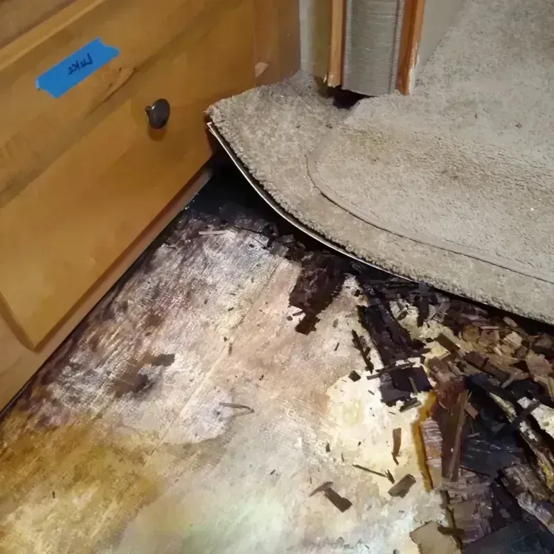 Best Wood Floor Water Damage Service in Mukilteo, WA